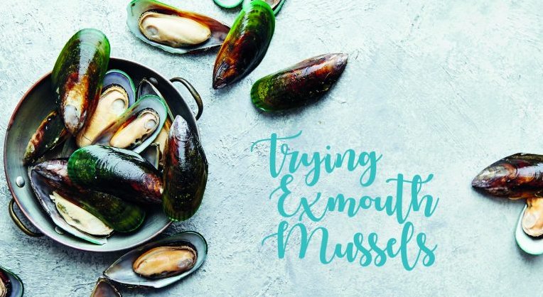 Have you tried <a href="/ExmouthMussels/">Exmouth Mussels Ltd</a> yet? If not, then what are you waiting for?!

uniqueholidaystays.co.uk/trying-exmouth…

#MondayMotivation #MondayMood #mussels #localfood #delicacy #Exmouth