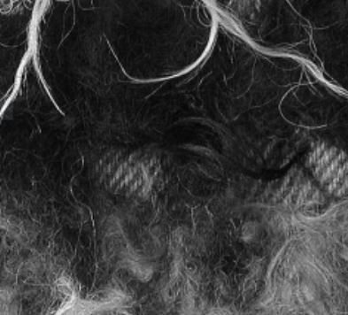 #ChristmasCovered #ChristmasCloth #EarlyMedieval #LoveIrishResearch #UCD
Day seventeen: Staying in the 7th century, seasons greeting to the lady of Cloonshannagh Bog. 
Found with 100 pieces of 2/1 twill cloth with tufts of pile yarn at regular intervals. An Irish shaggy mantle?