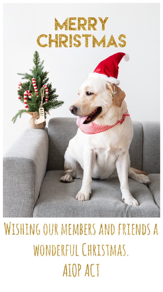 AIOPACT's tweet image. To our members and friends, thank you for your support this year.

#StrengthInOurConnections #WeAreAIOP #OfficeProfessional #CBR