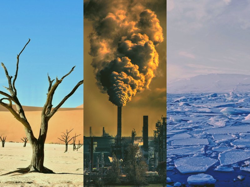 Изменение климата и последствия экологических проблем. Глобальное потепление экологическая проблема. Резкое изменение климата экологический проблемы. Глобальное потепление из-за ископаемого топлива. Влияют ли деревья на глобальное потепление.