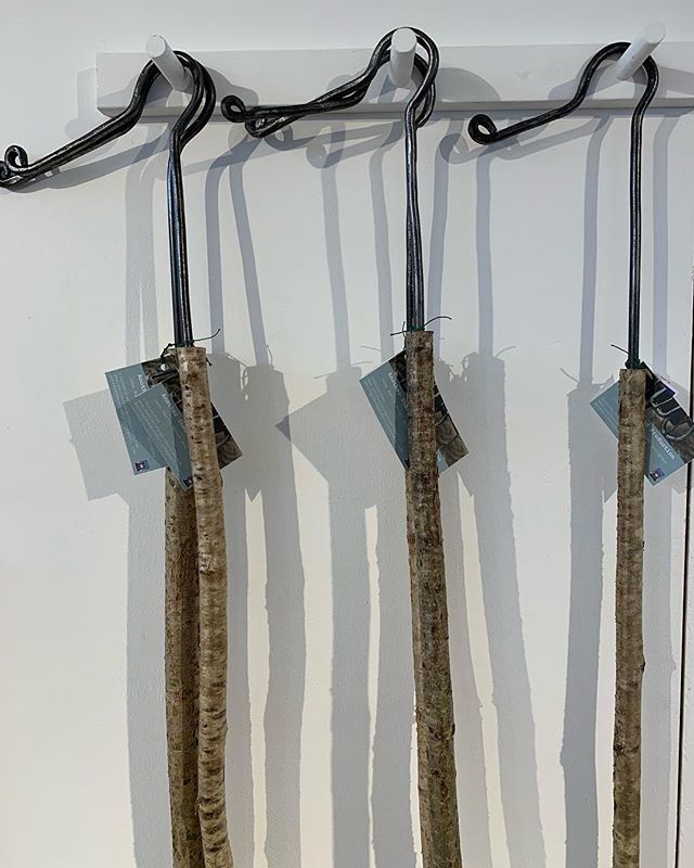 make_southwest's tweet photo. Everyone needs one of these! Foraging hooks - hand forged hooks set in green hazel, by Another Shed Production, @another_shed_production 
Also useful for pruning, reaching high windows and as walking sticks
.
.
.
#make2018 #handmade #foraging #greenhazel… https://t.co/xqZmnjYnuF https://t.co/hzdmumnVoJ