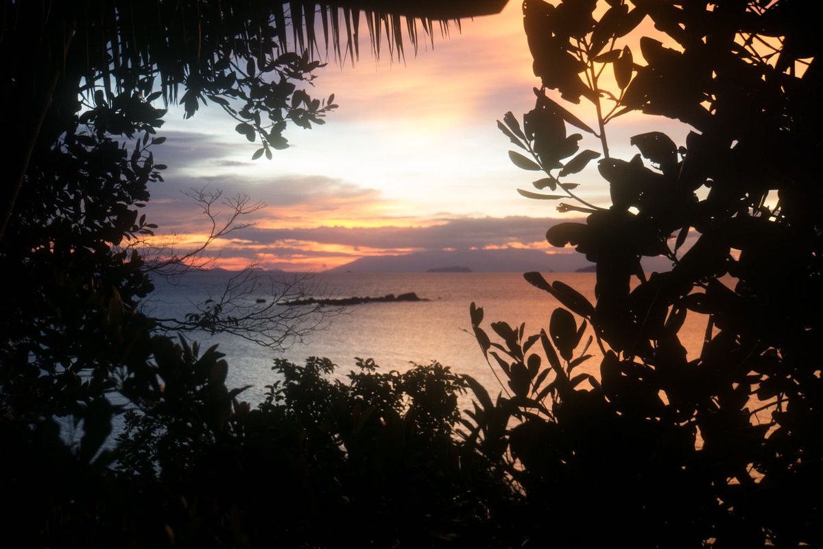 BikeandTours's tweet photo. Stunning #sunset at Permai. 
*
*
*
*
*
@SarawakTravel @lonelyplanet #bikeandtours #memorableadventures #borneo #sarawak #SarawakTravel #SarawakMoretoDiscover #ThisisSarawak #malaysia #bikeandtoursinsarawak https://t.co/vgQdZy7fvC