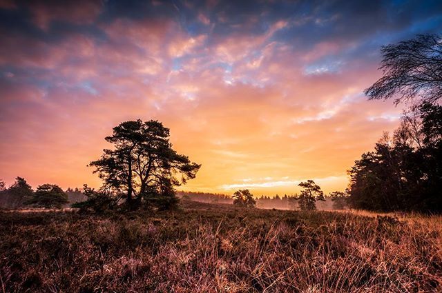 DannyTaxFoto's tweet photo. Friday Morning at De Dellen #cameranu_nl #nikonnl .
.
.
.
.
#Nikonnl #Nikoneurope #Nikon #cameranu_nl #igersholland #spotshare #landscape_lovers #sky_captures #landscapephotography #fantastic_earth #landscape_captures #ic_landscapes #ig_exquisite #nature… https://t.co/XwluXjUPKB https://t.co/QijpJ5Oym6