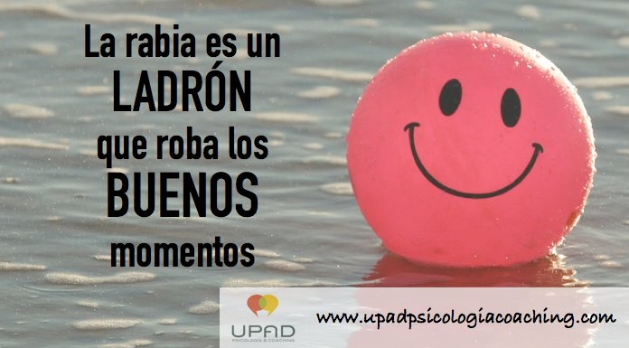 BIENESTAR | Colecciona momentos, no cosas. ¡Feliz semana! #upad #psicologia #coaching #bienestar #satisfaccion #motivacion