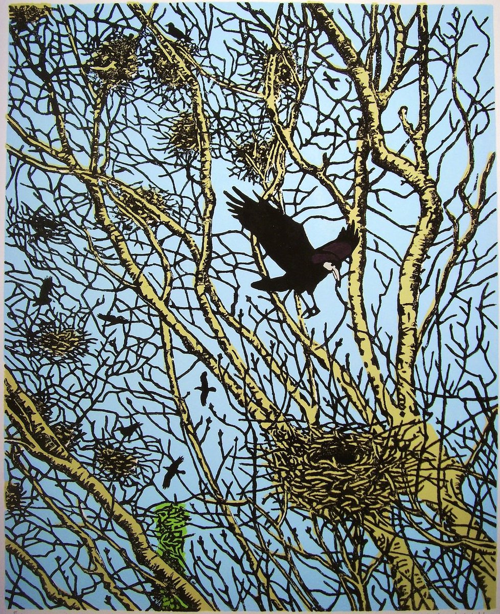 Sea Pictures Gallery tweet media