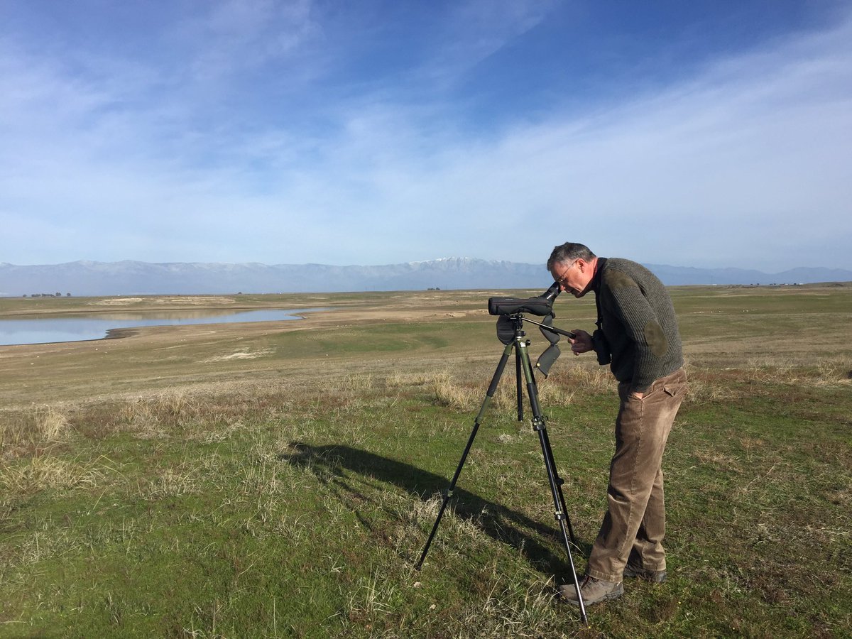 Love for nature. #sunnyday #Monday #Extremadura #fields #winterbreaks #birding