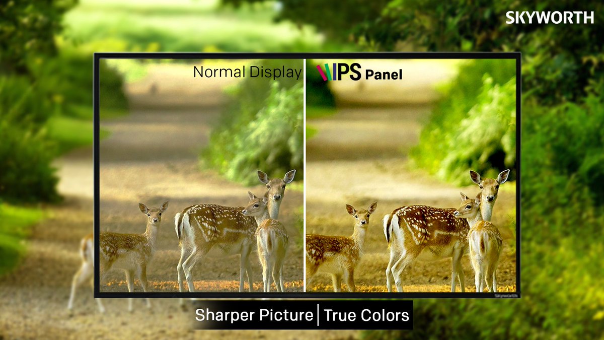 SkyworthIndia's tweet photo. Click here to visit the online store : https://t.co/uiVLY8ISZq
Our IPS(in-plane switching) screens will take your breath away on Skyworth TVs with better viewing angles and stunning color reproduction.
#television #inplaneswitching #LED #IPS #skyshare #netrange #skyworth https://t.co/Qc3R619Hcj