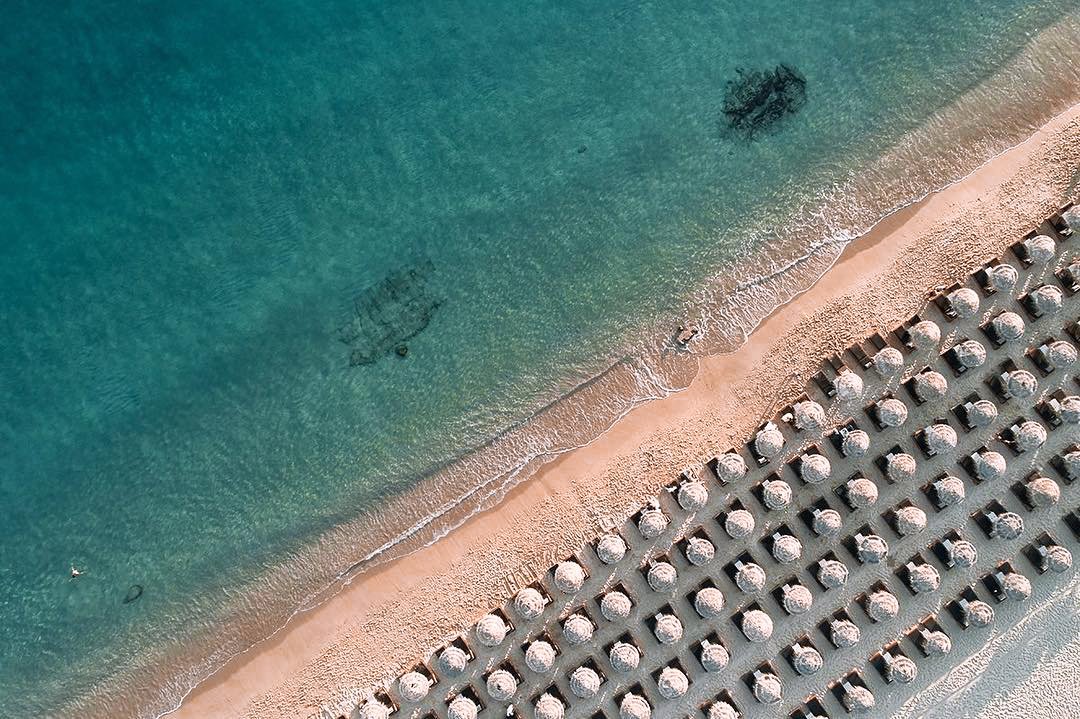 Myconian Collection tweet media