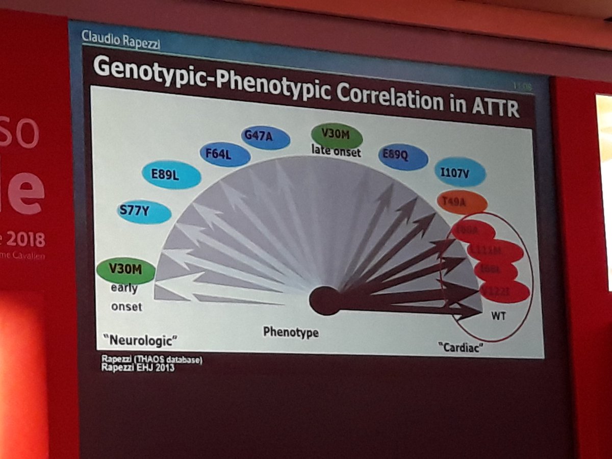SilCastelletti's tweet photo. Prof Rapezzi: It's important the #genetic background in the #amyloidosis in order to take the right decision! #cardiomyopathy #Genetics #SIC2018 #SICCongress #ItalianSocietyOfCardiology @Cipeciop1964 @glimongelli @CrottiLia @GiuseppeGalati_ @annina_vischer @carolinecoats @JoelSMG https://t.co/E0aAuCtZ75