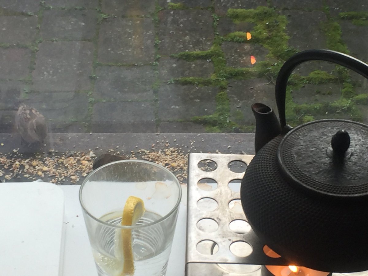 map_i_network's tweet image. #PhD survival strategy: bird watching, pot of tea and glass of tonic (minus the gin sadly)