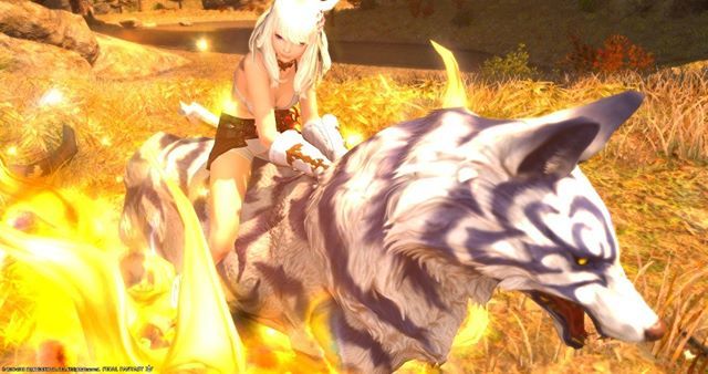 Ffxiv T Una Cam على تويتر 日記ダイジェスト アルさんの犬お手伝いだったのに 白虎から犬を貰いました 馬すら一つも持ってないので 初の蛮神マウントですｗ ツナの冒険手帳 Ff14 Ff14ramuh Ffxiv Ffxivramuh Ramuh Miqote ミコッテ ツ族のミコッテは服を