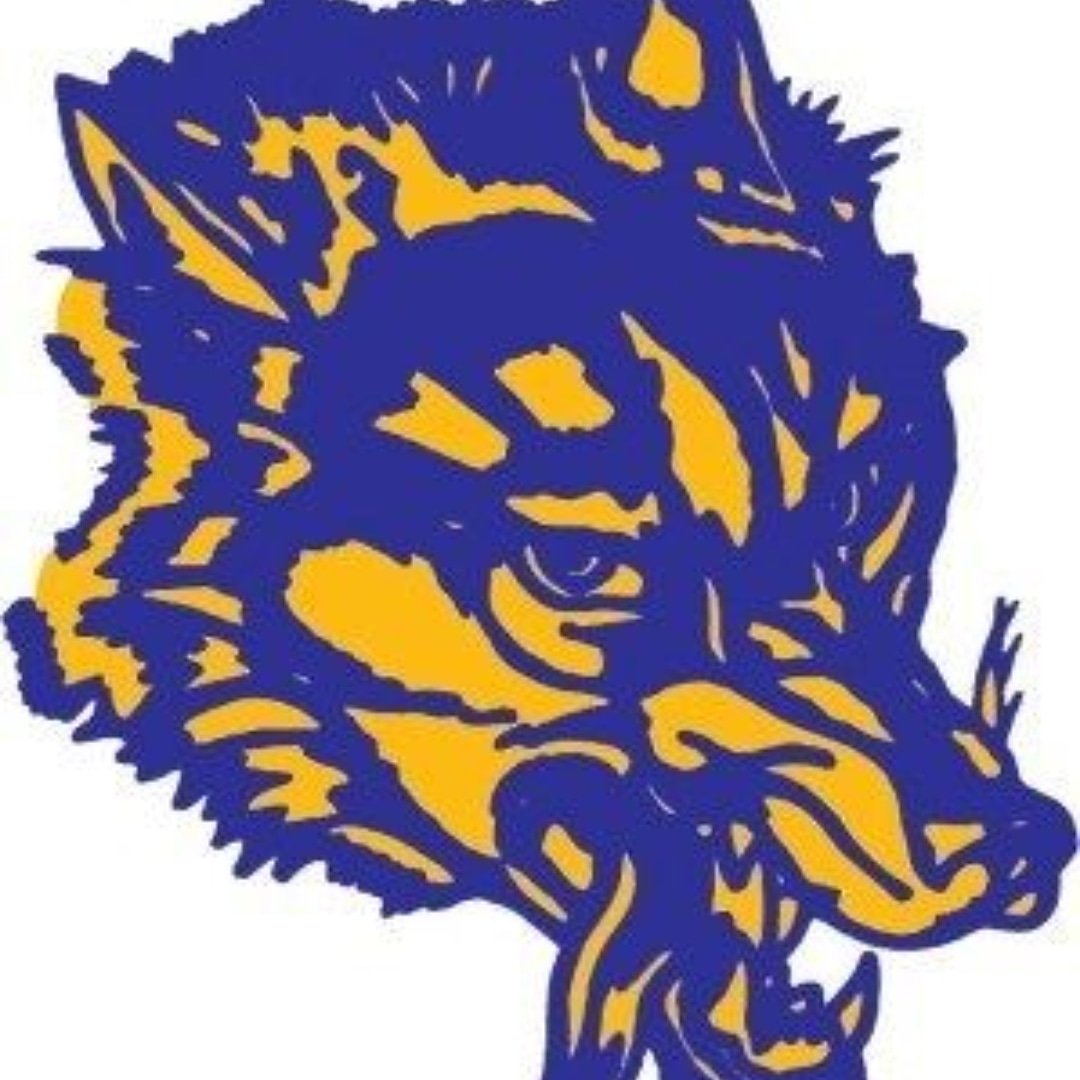 Come on out to watch our hard working team battle it out against Cousino tonight!