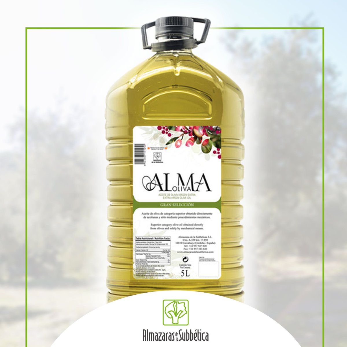 almasubbetica's tweet photo. 💚ALMAOLIVA Gran Selección, el #AceiteDeOliva para los cocineros más exigentes del mundo con un formato ideal para el día a día. 

#Almaoliva #Gastronomía #Restauración #Cocina #Chef #AOVE #AlmazarasDeLaSubbética #DOPriegoDeCórdoba https://t.co/JscPlwW0Or