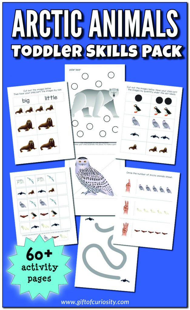 Arctic Animals Toddler Skills Pack with 60+ print-and-play activity pages for children ages 1-3. #Arctic #Polar #toddlers - is.gd/Mgx1gn