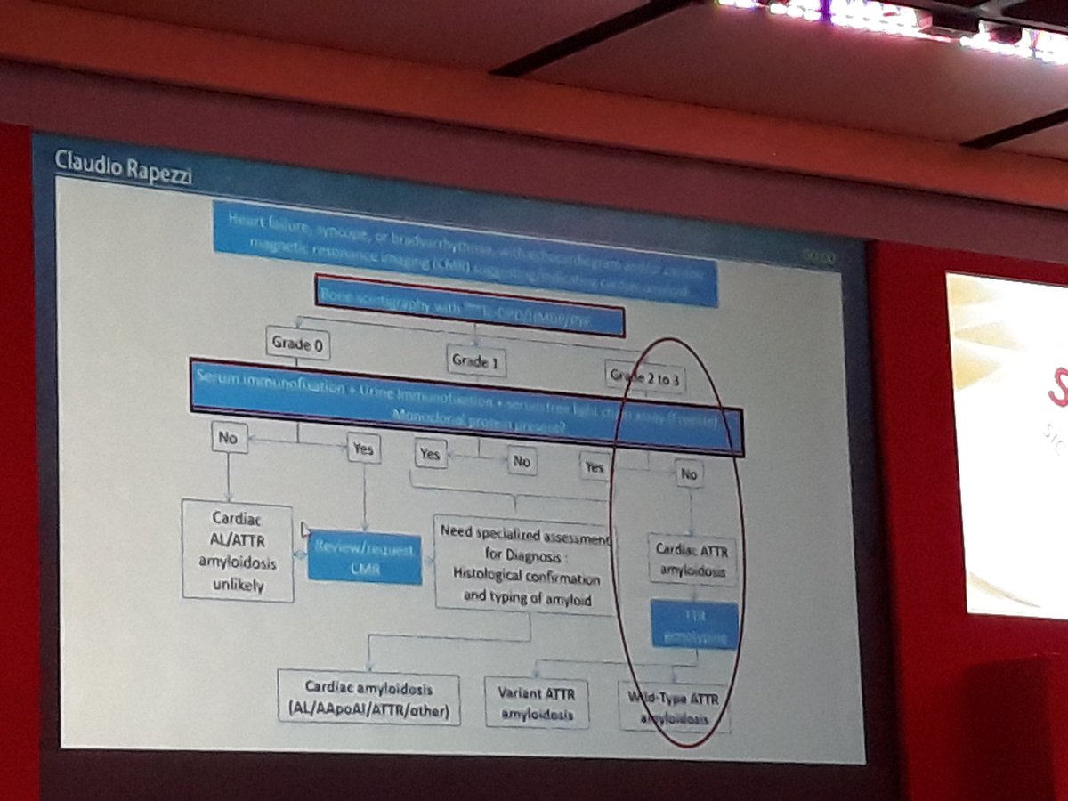 SilCastelletti's tweet photo. Prof Rapezzi: You can make diagnosis of #amyloidosis even without biopsy if you perform the correct tests! #cardiomyopathy #genetics #SIC2018 #ItalianSocietyOfCardiology #SICCongress @Cipeciop1964 @glimongelli @CrottiLia @pelliccia_f @GiuseppeGalati_ @JGrapsa @JoelSMG https://t.co/RajrBSWkos