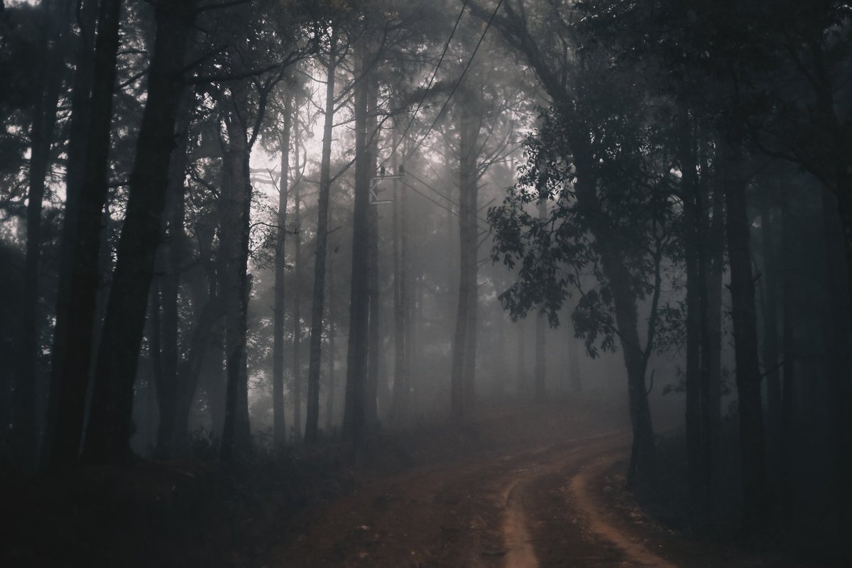 oadenn's tweet image. บันทึกเรื่องราวการเดินทาง
ผ่านภาพถ่าย

ดอยม่อนจอง , เชียงใหม่
#reviewchiangmai 
#ReviewThailand