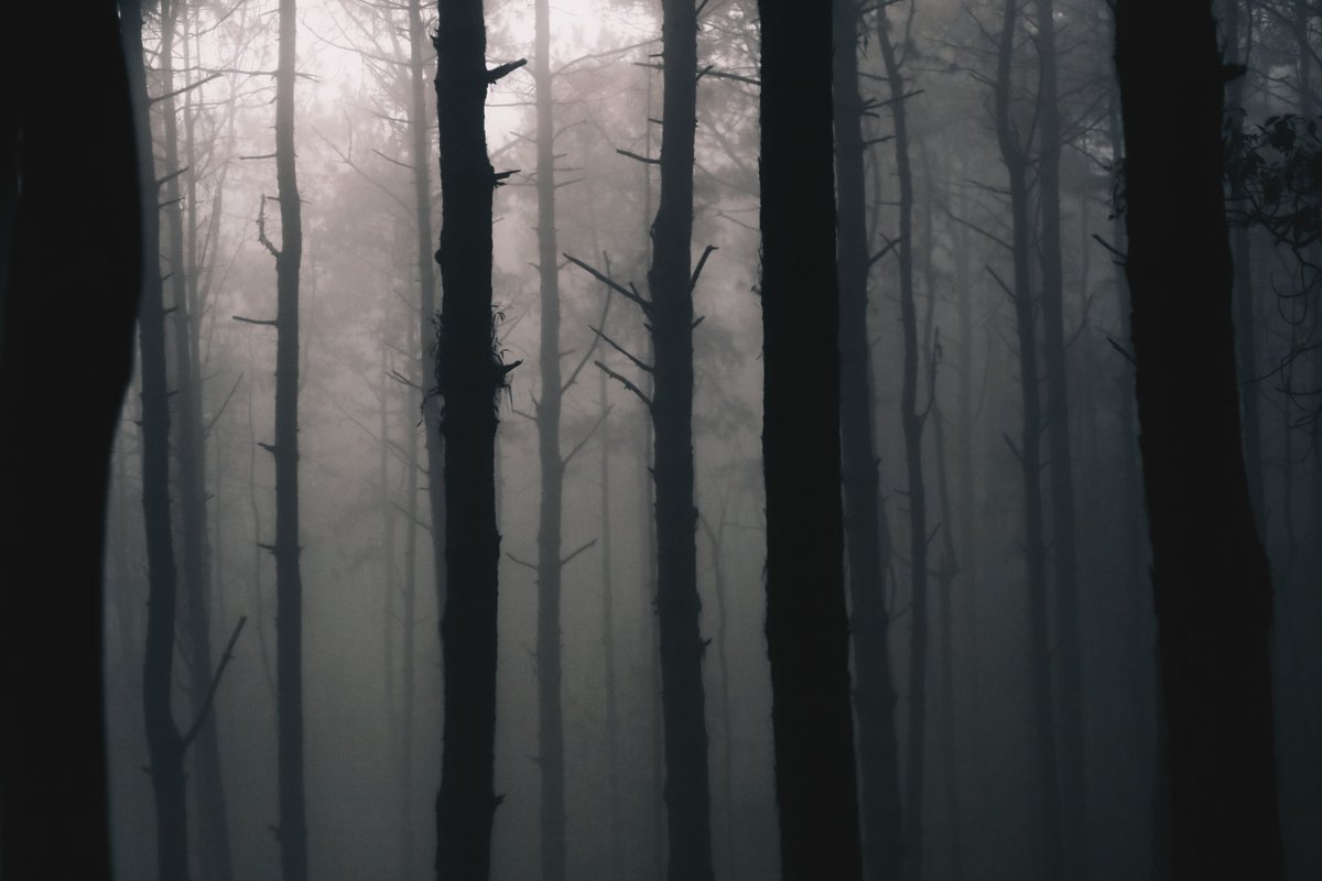 oadenn's tweet image. บันทึกเรื่องราวการเดินทาง
ผ่านภาพถ่าย

ดอยม่อนจอง , เชียงใหม่
#reviewchiangmai 
#ReviewThailand