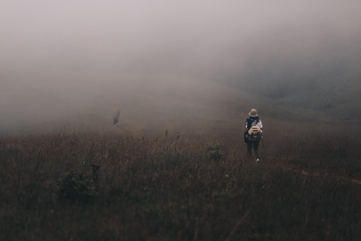 oadenn's tweet image. บันทึกเรื่องราวการเดินทาง
ผ่านภาพถ่าย

ดอยม่อนจอง , เชียงใหม่
#reviewchiangmai 
#ReviewThailand