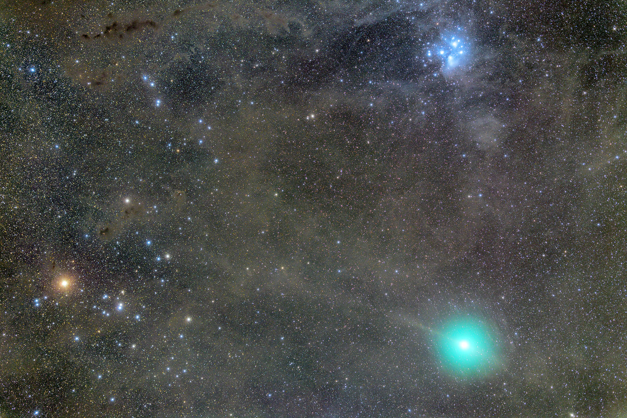 تويتر 天リフ編集部 على تويتر 46p ウィルタネン彗星の12月14日晩の姿です 彗星 の公転面を地球が横切るタイミングで 吹き出した尾をちょうど広げた扇子を根元から見るような角度で 尾が一直線に見えています 彗星の動きが速いので星と彗星を別々に合成して重ね