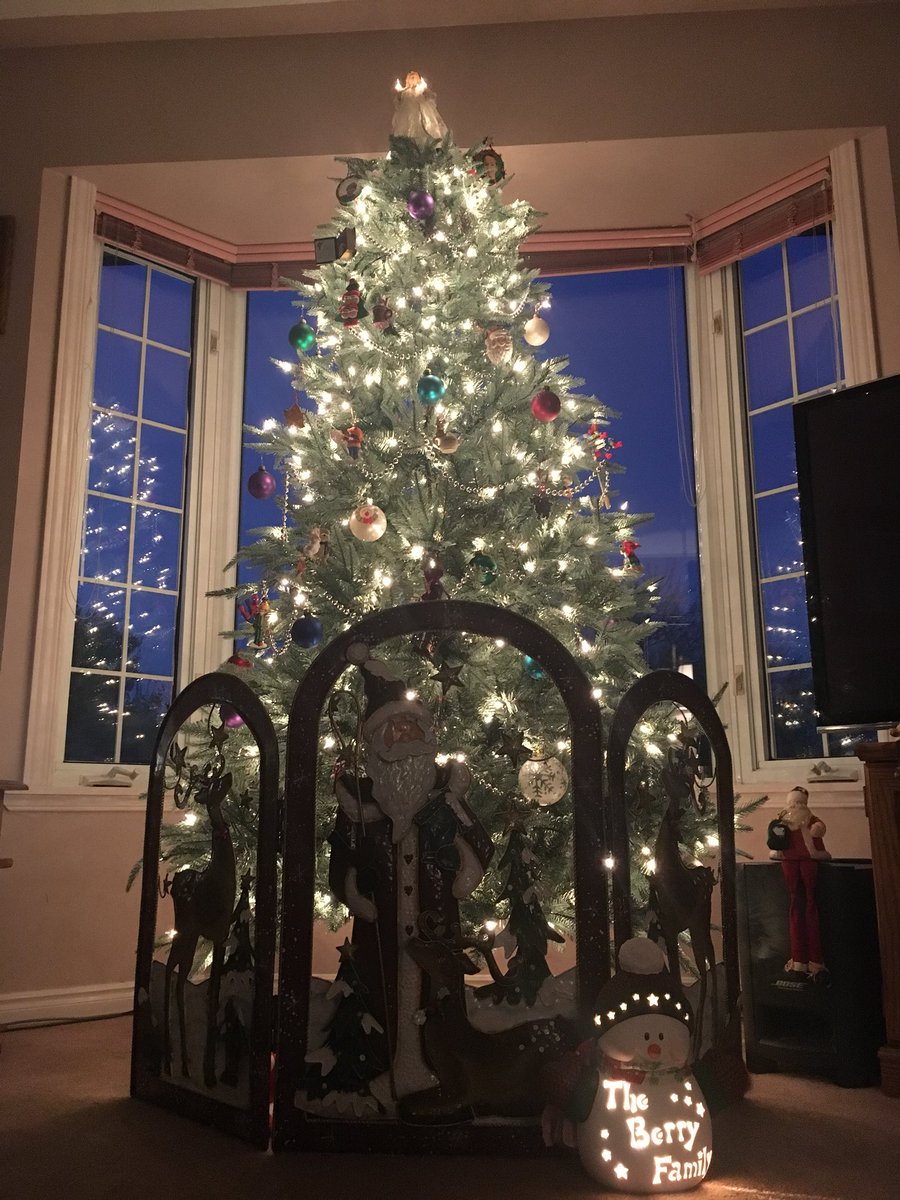 CristinaBerry10's tweet photo. Well the #christmastree is finally up thanks to @ronib97 #hollyjolly spirit is happening here #bhadvent #instadvent @bustedhalo https://t.co/K7NFvV2MtF