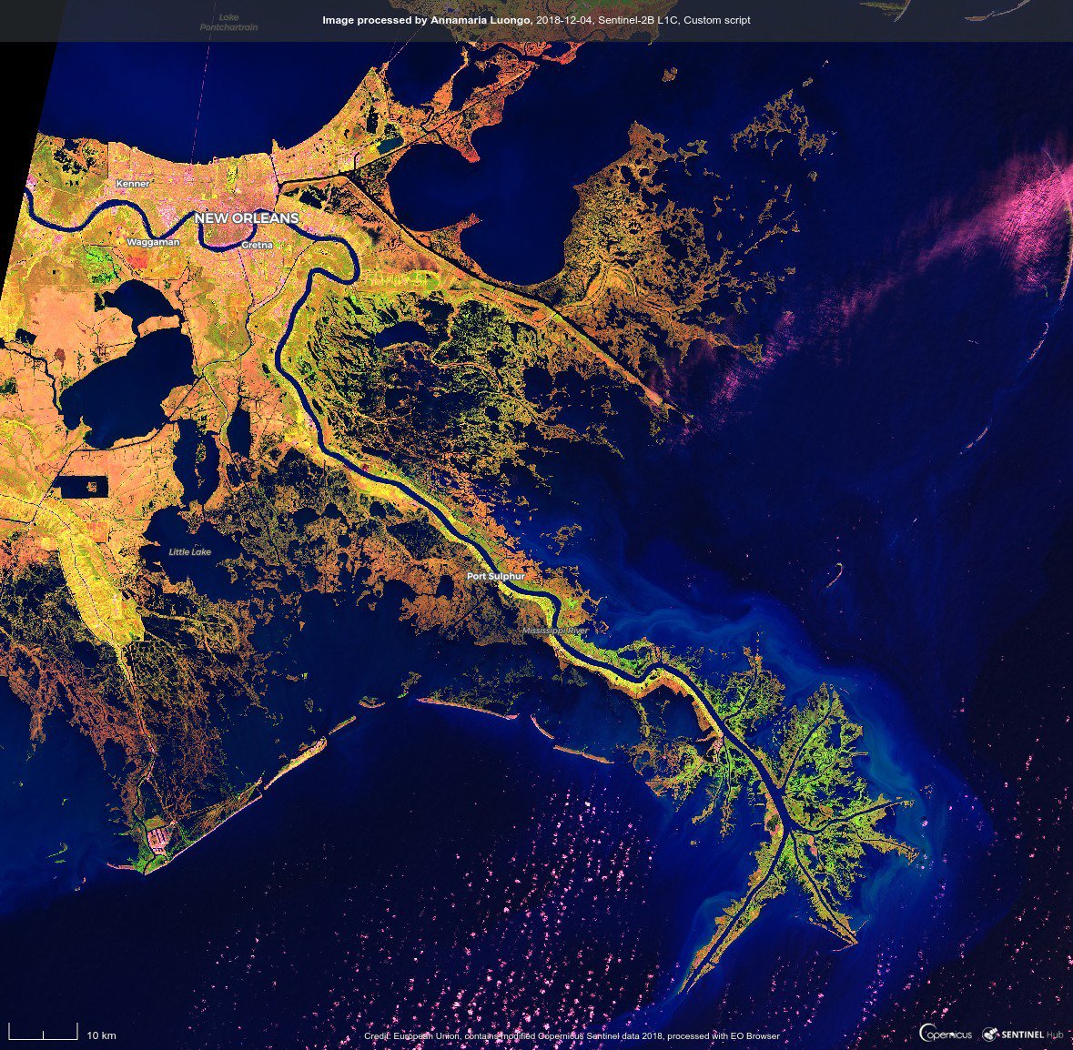 #Mississippi #River Delta & #NewOrleans in false-color. #Sentinel2 image. 
#EarthAsArt