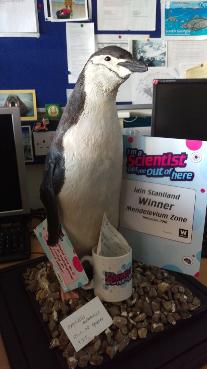 my @imascientist mug has arrived! looking forward to a nice cuppa whilst I plan my crack at world domination with the prize money! (or how I can highlight #UnderwaterNoisePollution and its effects on marine animals) @BAS_News #Penguins #Seals #Whales #MondayMotivation