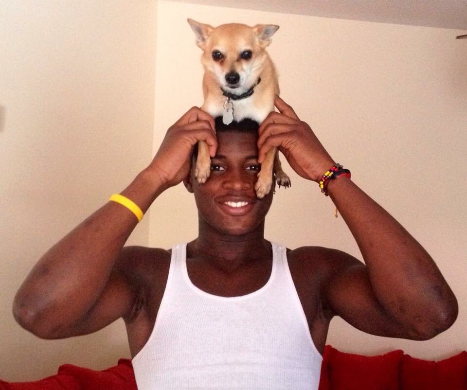 BruiserMan15's tweet photo. @_SBB2 Welcome to puppy parenthood. Make sure you wear him as a hat while you still can! https://t.co/Vvo6JoGADk