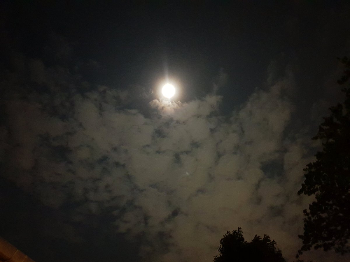 SHINeOnMoon13's tweet photo. การคิดถึงคนที่เราไม่สามารถพบเจอกันได้อีกมันช่างทรมาน😢 #JongHyun https://t.co/oCb3rg300c