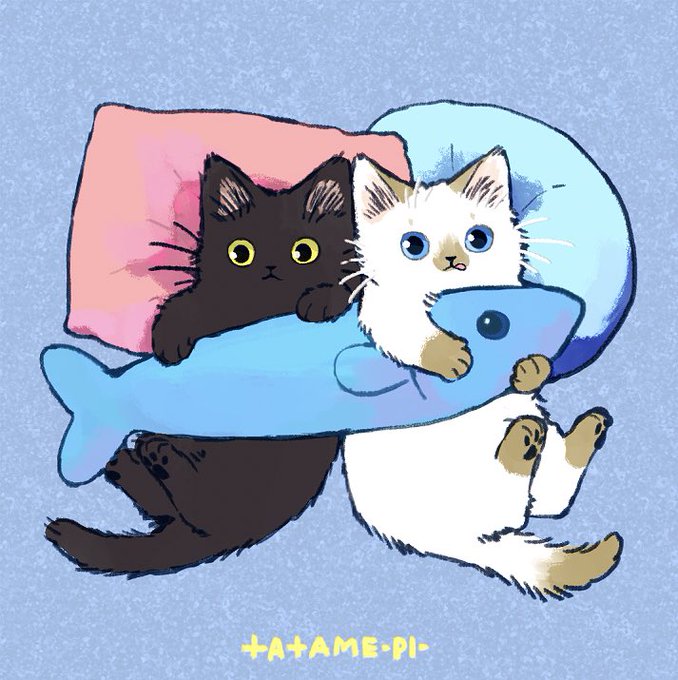 「寝そべり 白い猫」のTwitter画像/イラスト(新着)｜7ページ目