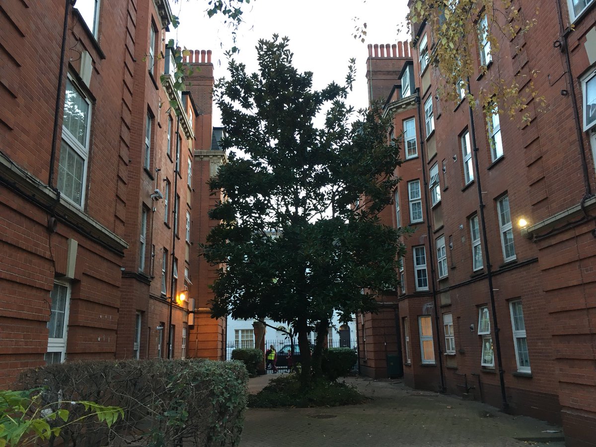 ldr_gregory's tweet photo. It seems that the #SuttonEstate decision won’t be announced today - maybe later this week says @chelseainde - who chairs the  TA . So wait goes on for @SaveOurSutton @Clarion_Group @RBKC https://t.co/HqZaXz02F5