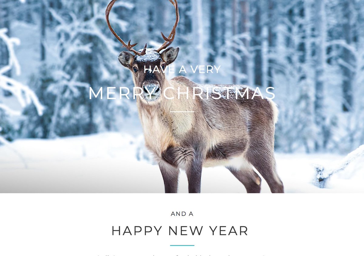 beechhillhotel's tweet photo. Here's wishing you a very merry Christmas and a happy New Year with our final Newsletter of the year :-)

https://t.co/N0n80EVFqp https://t.co/9SFOeMb4Go