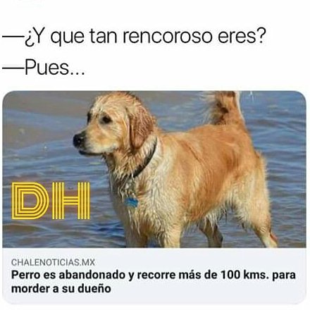 LPDHUMOUR's tweet photo. @lpd.humour
😀😁😮😂 #humormemes #humormeme #memeshumor #memerisas #memegracioso #memelandia #memesderisa #amigos #riete #chistoso #risasaseguradas
#memesgraciosos #memess #ellanoteama #momazos #chistes #humorgrafico #memesespañol #risas #risa #reir #memesargentina #macritips https://t.co/RJ7ztnDDQg