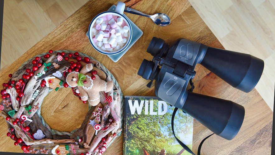 Hello #NewYearsEve - have you got any #NewYears resolutions planned? Maybe you’d like to spend more time with #friends and #family, have more #holidays or just get outside more? #NDevon #VisitWestwardHo