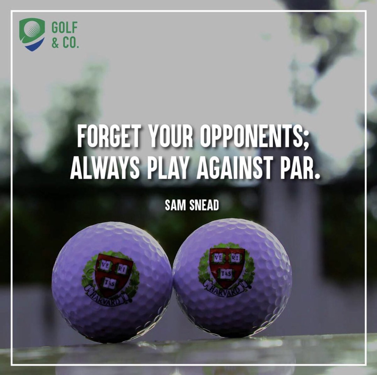 GolfandCo1's tweet photo. Quote for the Day!! .
.
#golf #golftips #golfgrip #tigerwoods #golfclub #teetime #golfswing #golflife #golfandco #quote #picoftheday #golftips #dubai #uae #asia #europe #uk #putting #green #ball #vacation  #score  #pgatour #gulfnews #pga #volkwagengolf #topgolf https://t.co/luMdxEWAef