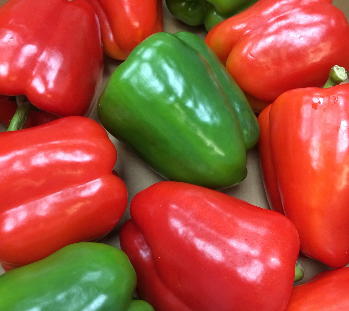 Colourful fresh peppers waiting to be transformed into our homemade peppers &amp; onions mix  😋#mexicanmadefresh