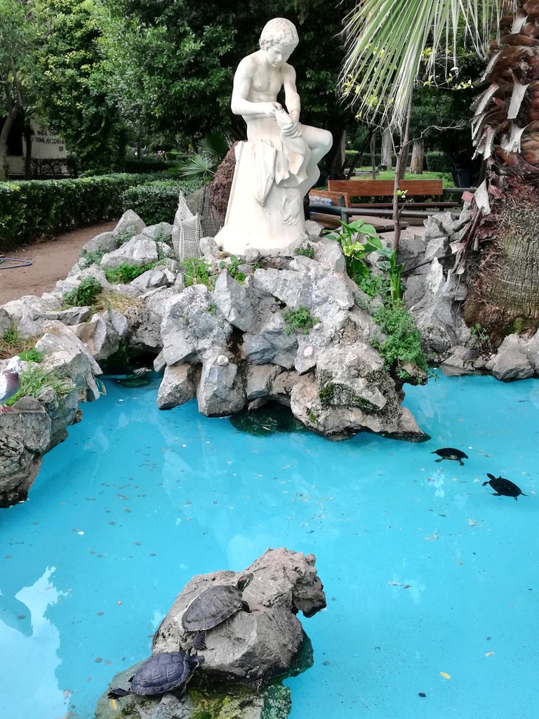 VagaBobTravel's tweet image. Tranquility is rarely more than a few steps away from the characteristic hustle bustle of Athens  👣👣👣
#philopapposhill #nationalgarden #turtlepond #plakaanafiotika #oldneighborhoods #nature #trails #hiddenpassages #viewpoints  #escapefromthehustle #tranquilplaces #chillspots