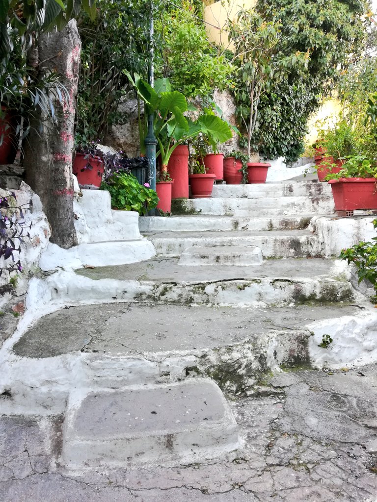 VagaBobTravel's tweet image. Tranquility is rarely more than a few steps away from the characteristic hustle bustle of Athens  👣👣👣
#philopapposhill #nationalgarden #turtlepond #plakaanafiotika #oldneighborhoods #nature #trails #hiddenpassages #viewpoints  #escapefromthehustle #tranquilplaces #chillspots