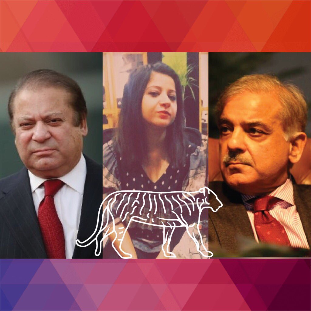 mahobili's tweet photo. #Sher #FerToN #loyins #meow https://t.co/MTlAa5XJ1O