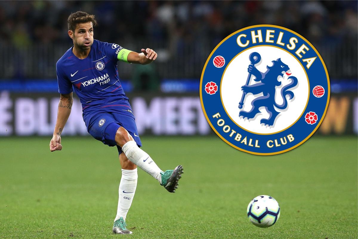 MMMNForest's tweet photo. Cesc Fabregas wants to extend Chelsea contract after feeling invigorated by Blues boss Maurizio Sarri https://t.co/gKcSXmHX3E https://t.co/uOSeM2Q1vK