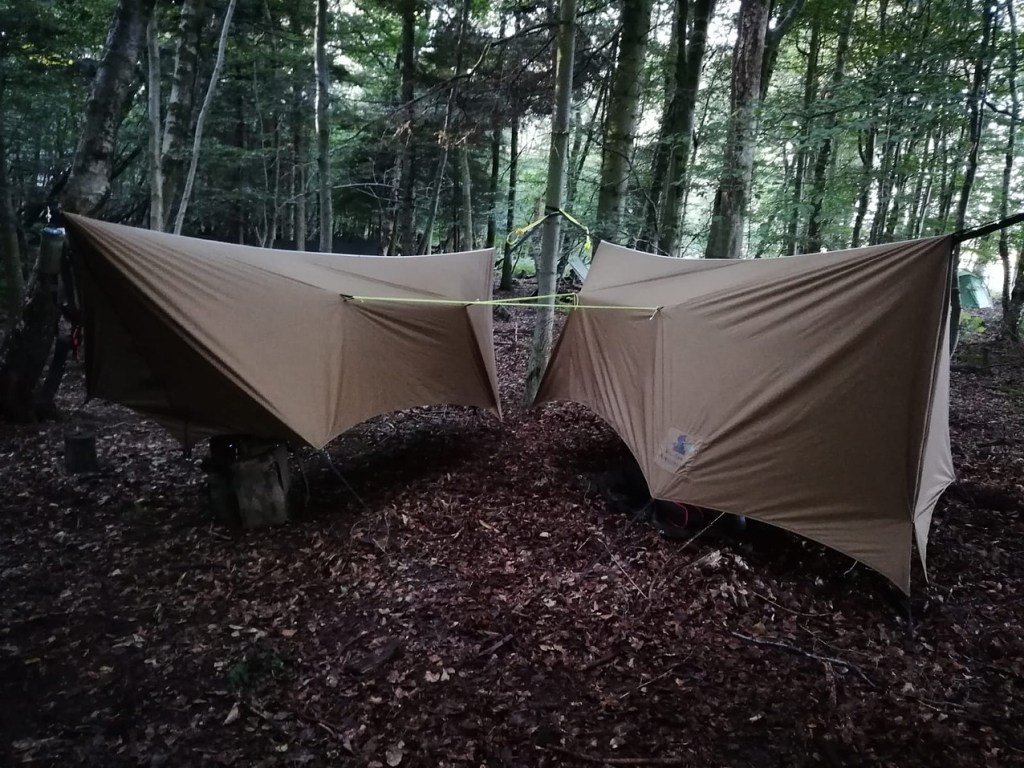 Sumo Survival tweet media