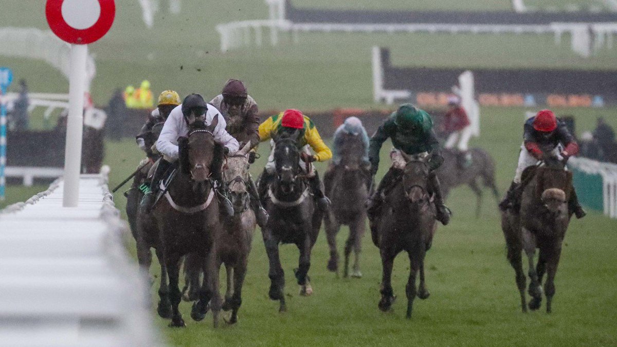 BGCRacing's tweet photo. Brain Power beat off a classy field to land Saturday's International Hurdle at Cheltenham 🧠

Download our app to read our review! 🏇

👉 https://t.co/YaAtaMtY5i

#Cheltenham #InternationalHurdlle #racingtips https://t.co/uwfHlPdbrw
