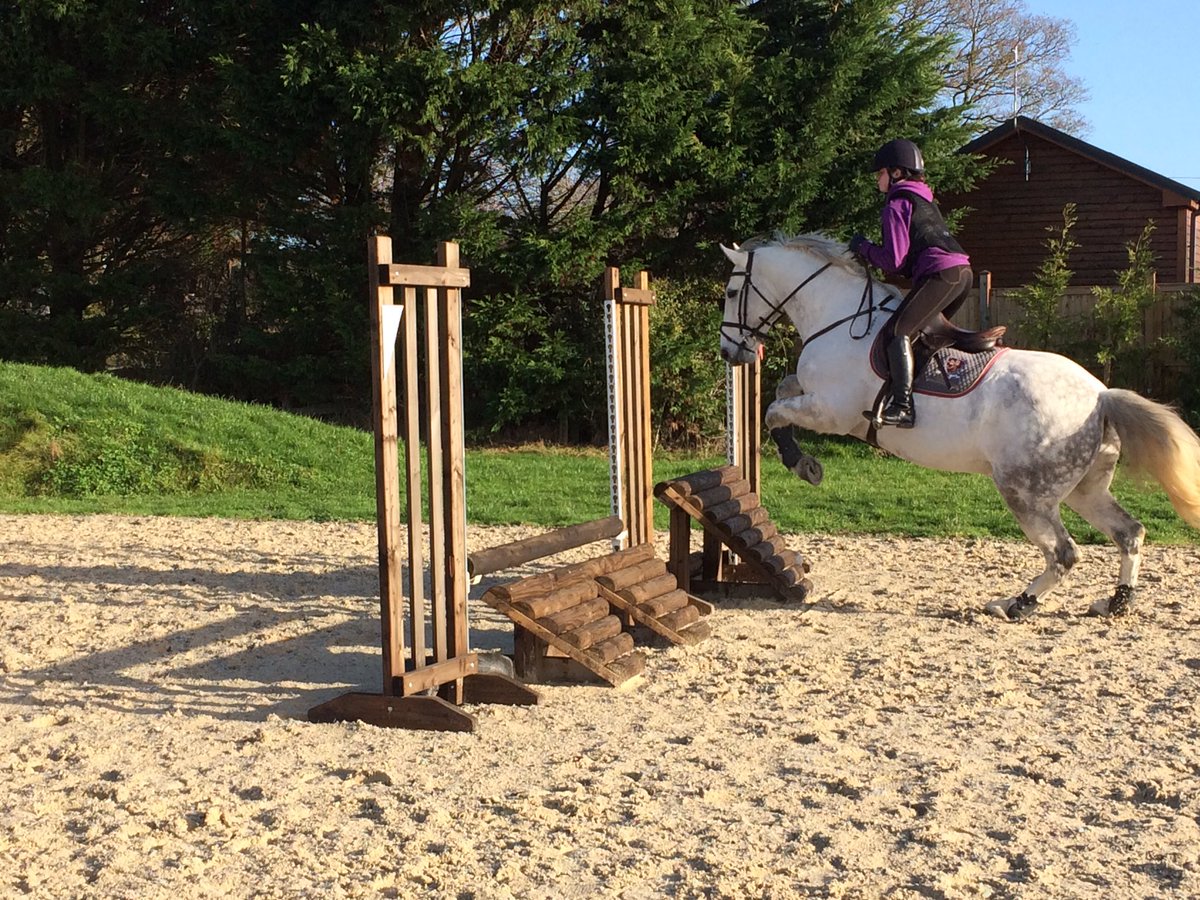 LOGS_Sport's tweet photo. Great day for our Christmas lesson and competition! @LOGS_Lewes thank you Alex Osborne https://t.co/lRRg2Mf7IP