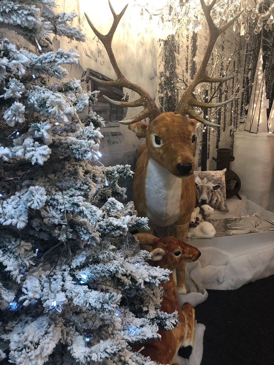 JR_Lighting's tweet photo. Save 25% off all Christmas Decorations at JR Lighting! #newry #ChristmasSale https://t.co/2UDGwqqP6C