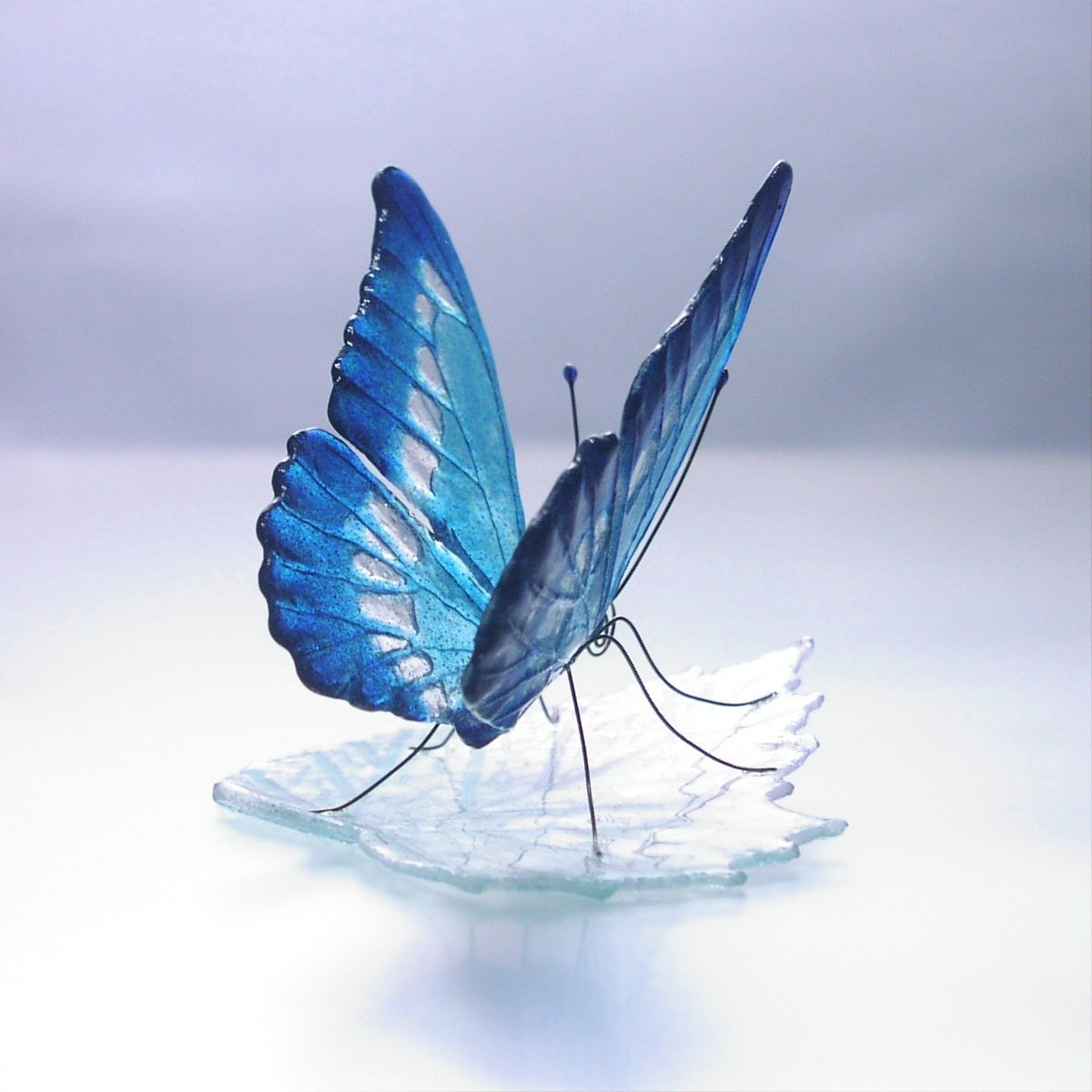 Twitter 上的 三田木精庵 ガラスで作った蝶です 青い宝石 といわれているモルフォ蝶を オリジナルのガラス技法で制作しています 神秘的な青をお楽しみ下さい Online Shop T Co Hn57zzn7c0 ガラスの蝶 ガラス工芸 パートドヴェール モルフォ蝶