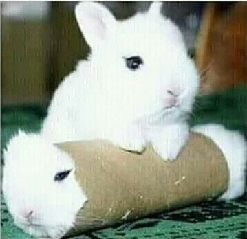 #Mevlana 

Kıskanılmayanlar, İmrenilecek Fazileti olmayanlardır....