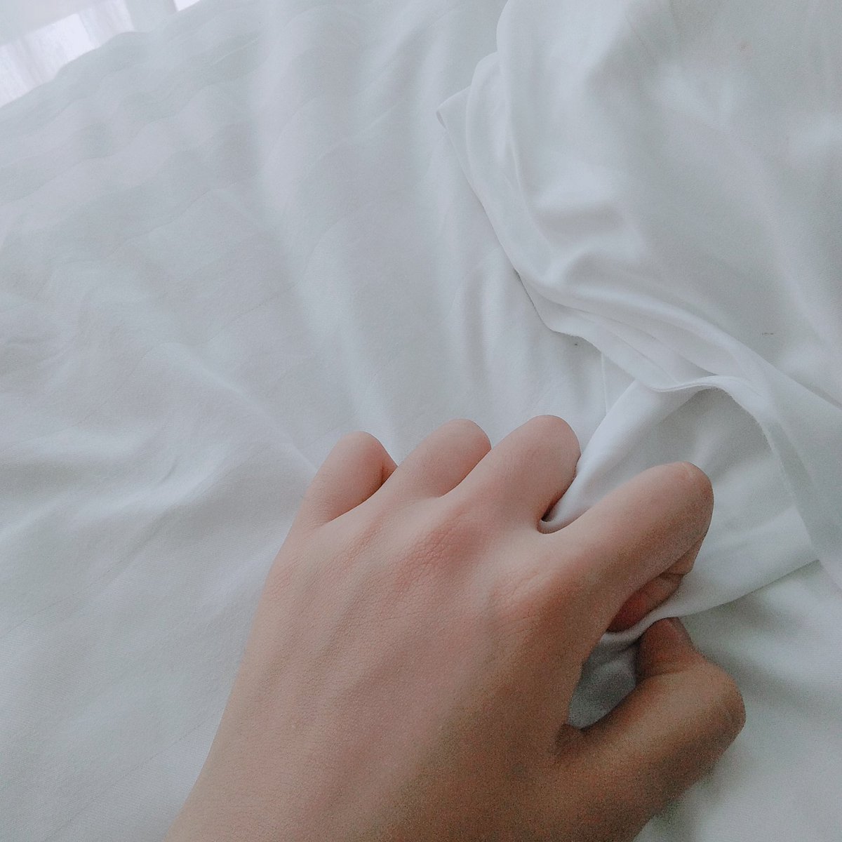 ゚🧣 ᛍ ̱ คุณขนม ˙ ˕ ♡ log out tweet media