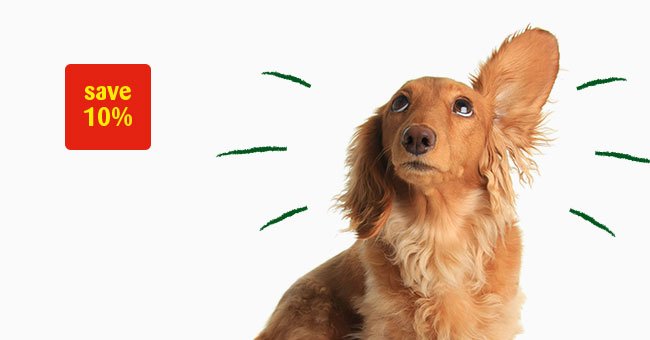 ExeterPAH's tweet photo. Have you signed up for the PAH Loyalty Card? 
Receive regular savings and offers specific to your pet. 🐭🐱🐶🐰

Sign up in store @PetsatHome and receive a 10% off voucher to use in-store, included in your welcome pack.

#MondayMotivation #petsathome #pets #ChristmasCovered https://t.co/e1LdIRcB0q