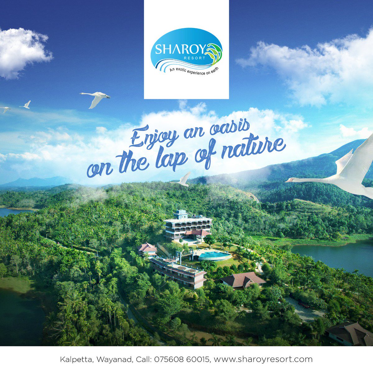 SharoyResort's tweet photo. #day #wayanad #archery #banasuradam #filmphotography #kerala #godsowncountry #naturewalk #boating #bestviewresortsinwayanad #swimmingpool #fashion #resortsinwayanad #wayanadresorts #godsplan #pedal #cricket #ayurveda #spa #naturephotography #hollywood #bollywood #India #lifestyle https://t.co/KjAWfbXfFB