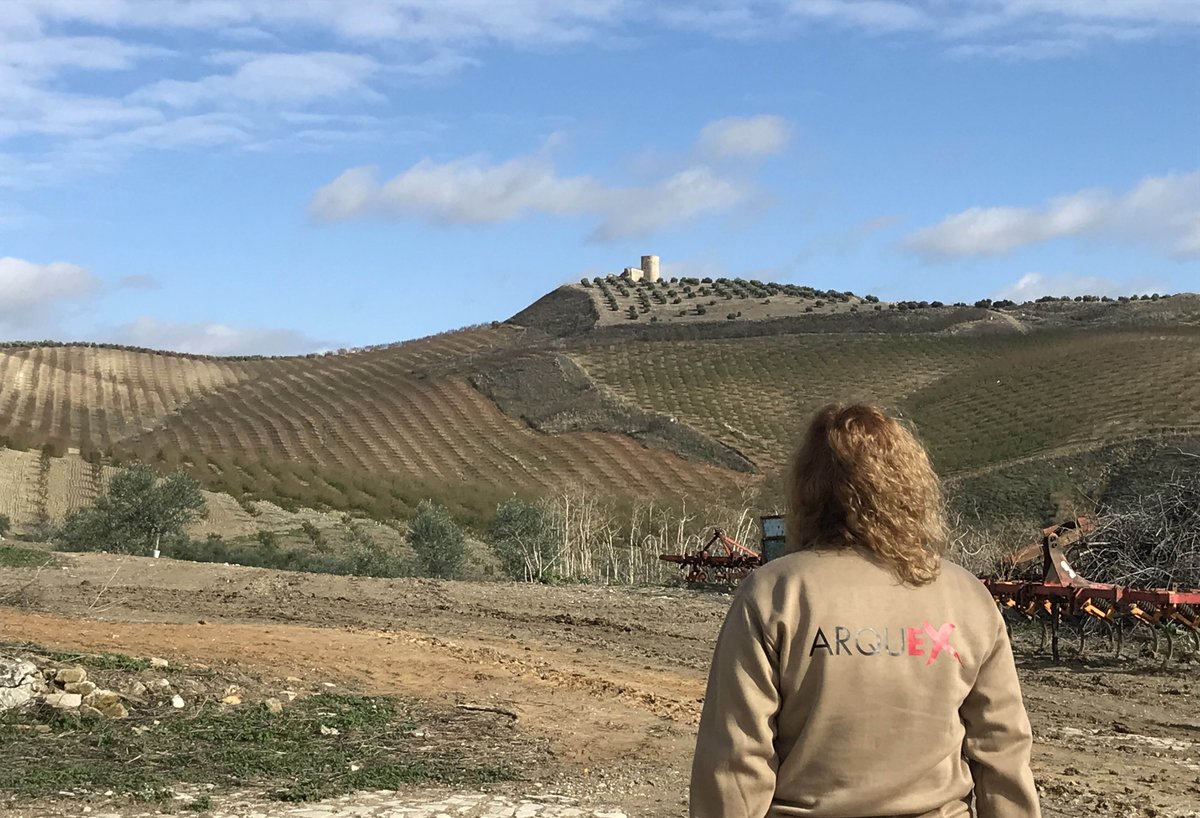 arquexsl's tweet photo. #Prospectando junto a la ciudad romana de #Torreparedones y disfrutando del maravilloso paisaje #ArqueologiaEnEstadoPuro https://t.co/8g32UVi4F9
