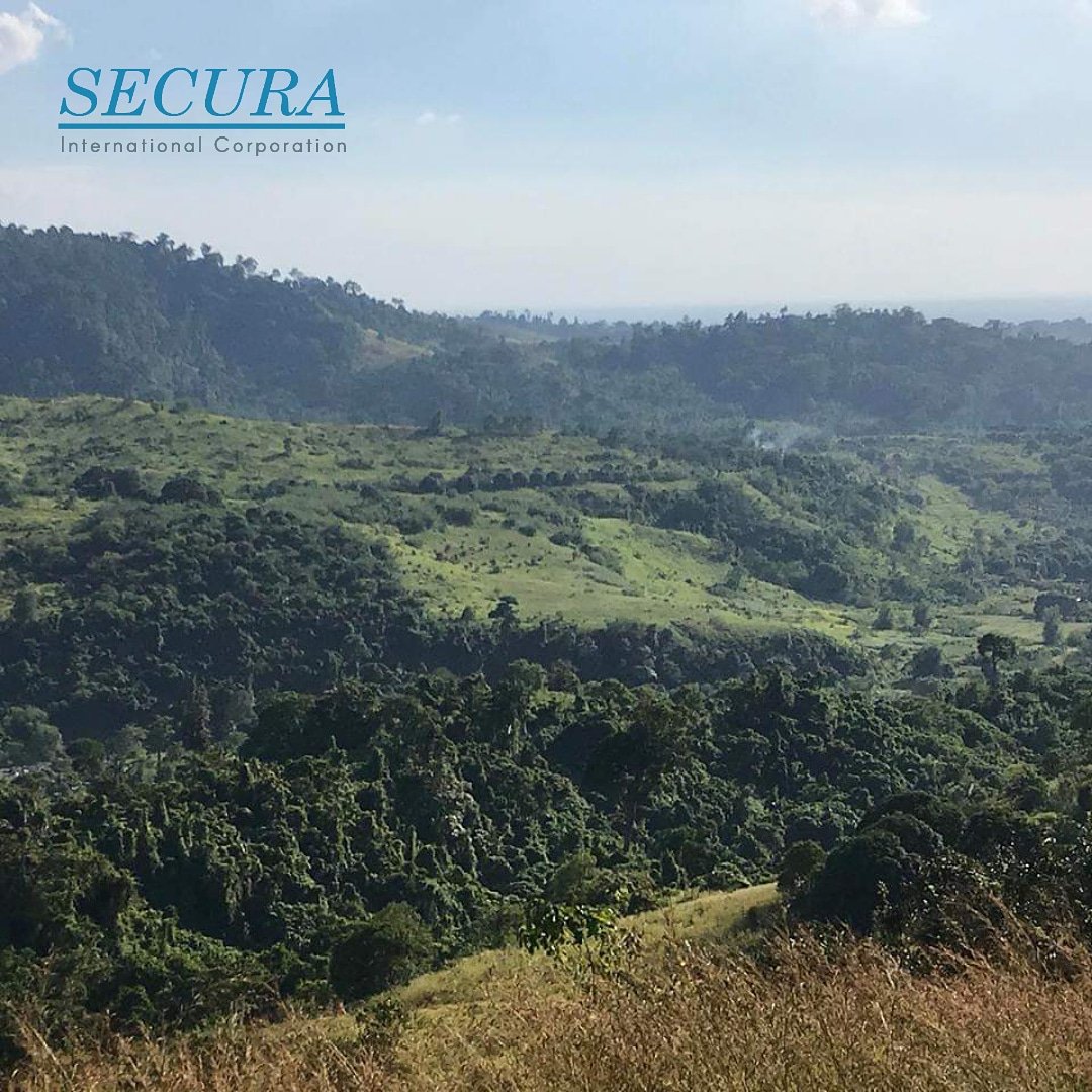 SecuraIntlCorp's tweet photo. Saving the Mother Earth one step at a time. Here's a glimpse of our Bataan Plantation #SecuraIntlCorp #SecuraGrass https://t.co/U5K1kmmLb3